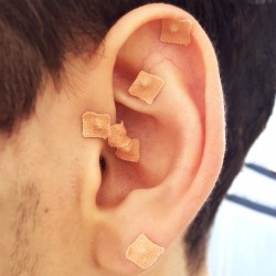 Ziarno Vaccaria na plastrze - 60 sztuk