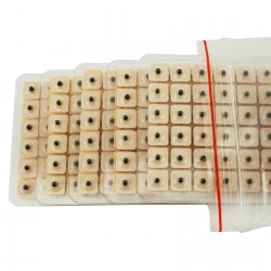 Ziarno Vaccaria na plastrze - 60 sztuk