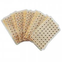 Ziarno Vaccaria na plastrze - 60 sztuk