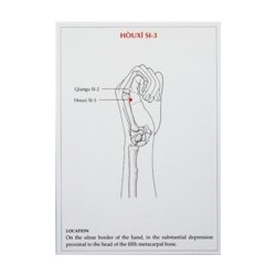 A Manual of Acupuncture