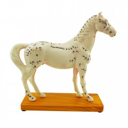Model akupunkturowy konia - 27 cm