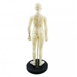 Model akupunkturowy człowieka - 45 cm