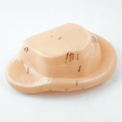 Model akupunkturowy ucha - 17 cm