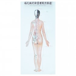 Zestaw 3 plakatów - kobieta - 72 x 38 cm