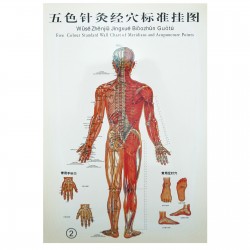 Zestaw 3 plakatów - mężczyzna - 37 x 26 cm