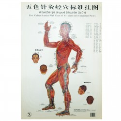 Zestaw 3 plakatów - mężczyzna - 37 x 26 cm