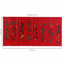 Aplikator wieloigłowy Lyapko - mata 235 x 475 mm - "Szansa" - 6,2 x 4