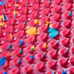 Aplikator wieloigłowy Lyapko - mata 235 x 475 mm - "Szansa" - 6,2 x 4