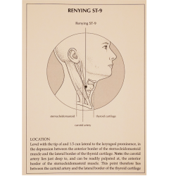 A Manual of Acupuncture