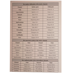 A Manual of Acupuncture