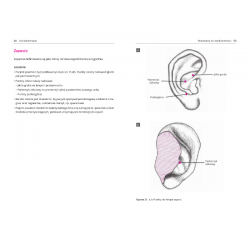 Aurikuloterapia - Terapia punktów usznych - R. Nogier | TCMsklep.pl