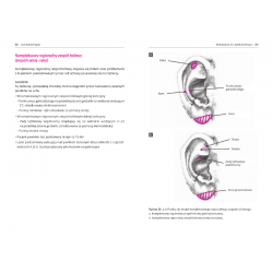 Aurikuloterapia - Terapia punktów usznych - R. Nogier | TCMsklep.pl