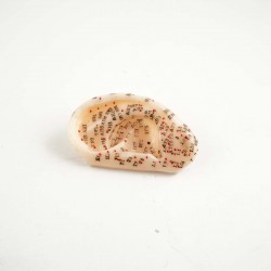 Model akupunkturowy ucha - 7,5 cm