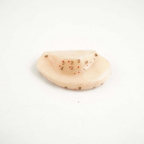 Model akupunkturowy ucha - 7,5 cm - para