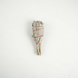 Biała szałwia - pęczek