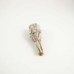 Biała szałwia - pęczek