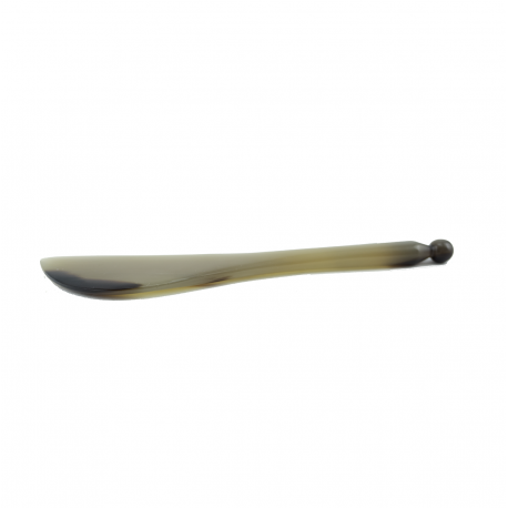 Gua sha tool with diagnostic tip