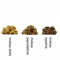 Moksa sypana (bezpośrednia) - dziesięcioletnia| TCMsklep.pl