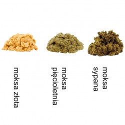 Moksa sypana (luźna)