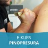 Pinopresura - terapia pinami i pinokatami