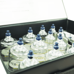 Bańki lekarskie - zestaw 12 baniek próżniowych w walizce | TCMsklep.pl