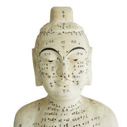 Drewniany model akupunkturowy człowieka - 160 cm