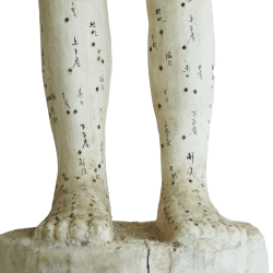 Drewniany model akupunkturowy człowieka - 160 cm