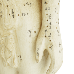 Drewniany model akupunkturowy człowieka - 160 cm