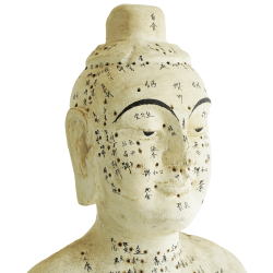 Drewniany model akupunkturowy człowieka - 160 cm