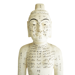 Drewniany model akupunkturowy człowieka - 160 cm