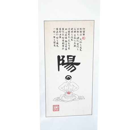 Poster - Chinese Yang symbol - 50 x 134 cm