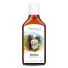 Hericium - Tincture - 031 - YaoMedica