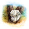 Hericium - Tincture - 031 - YaoMedica