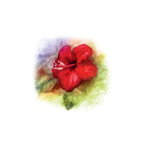 Nalewka Qing Re Zhi Beng Tang - 100 Czerwony kwiat - YaoMedica