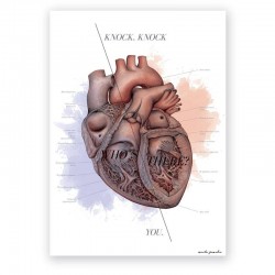 Anatomical Heart poster -...