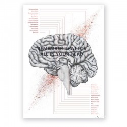Anatomical poster - brain...