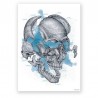 Plakat dekoracyjny - czaszka - 50 x 70 cm