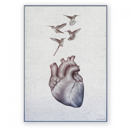 Plakat dekoracyjny - serce i kolibry - 50 x 70 cm