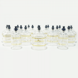 Bańki lekarskie - zestaw 19 baniek próżniowych w walizce | TCMsklep.pl