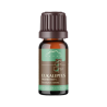 Eucalyptus Radiata essential oil - 10 ml