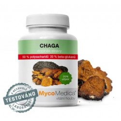 Chaga 50% Suplement diety - MycoMedica