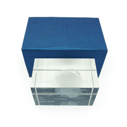 Model mózgu 3D w szkle - 10 cm - ZYTH