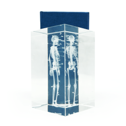 Model szkieletu 3D w szkle - 10 cm - ZYTH