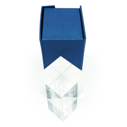 Model szkieletu 3D w szkle - 10 cm - ZYTH