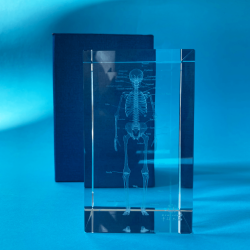 Model szkieletu 3D w szkle - 10 cm - ZYTH