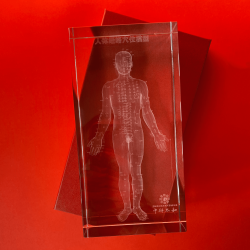 Model akupunkturowy człowieka 3D w szkle - 20 cm - ZYTH