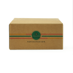 Model skóry do ćwiczenia nakłuć - ZYTH