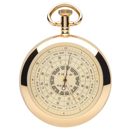 Pocket watch for daily organ activity