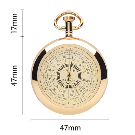 Pocket watch for daily organ activity
