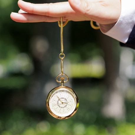 Pocket watch for daily organ activity